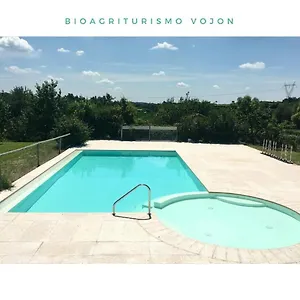 Bio Vojon , Ponti sul Mincio Italië